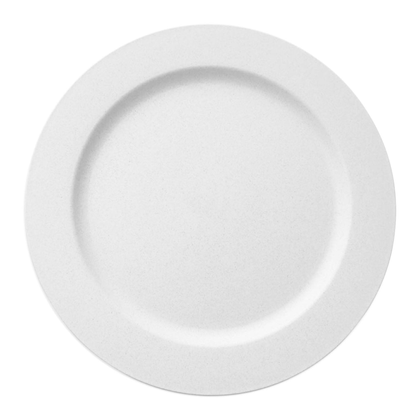 Plastic Plate - Matte Milk White Dinner Plates