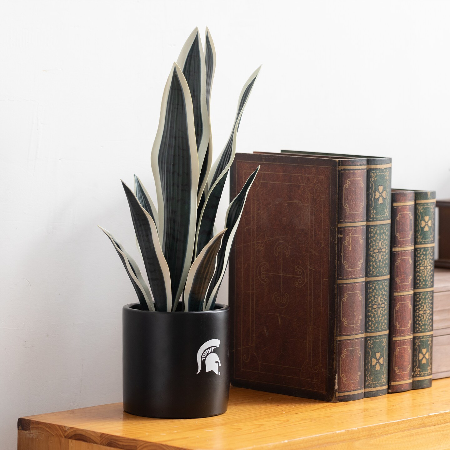 MSU Snake Plant, MSU Faux Snake Plant, MSU Gifts for Men, MSU Gifts for Women, MSU Gifts, Spartan Decorations, MSU Man Cave Decor, Office Accessories for Men, Desk Accessories for Women