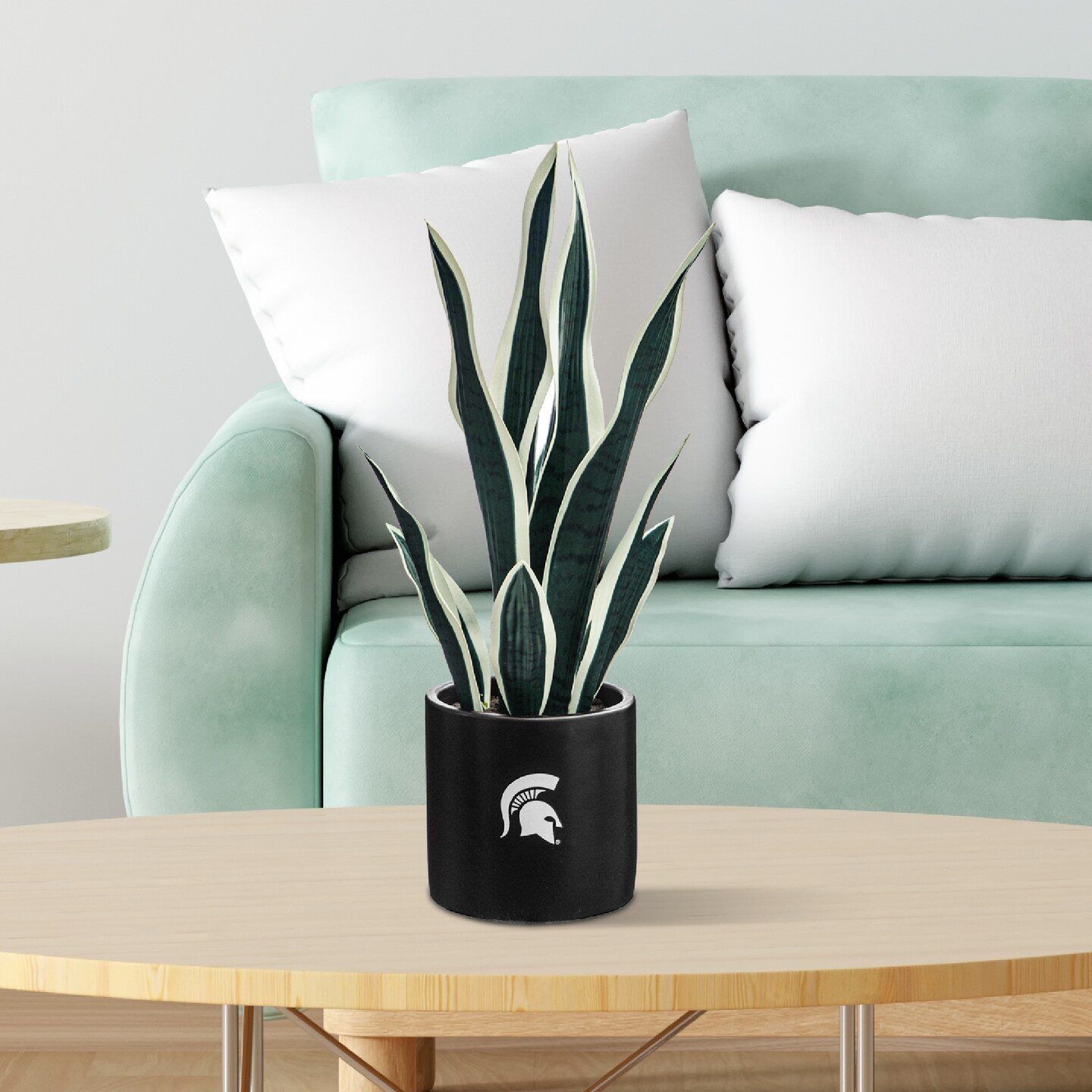 MSU Snake Plant, MSU Faux Snake Plant, MSU Gifts for Men, MSU