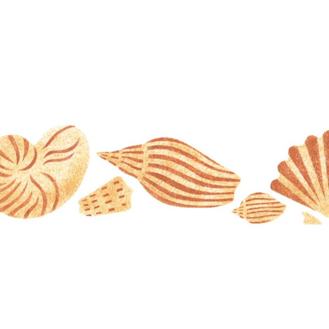 Detailed Shell Wall Stencil Border | 097 by Designer Stencils | Animal &#x26; Nature Stencils | Reusable Art Craft Stencils for Painting on Walls, Canvas, Wood | Reusable Plastic Paint Stencil for Home Makeover | Easy to Use &#x26; Clean Art Stencil