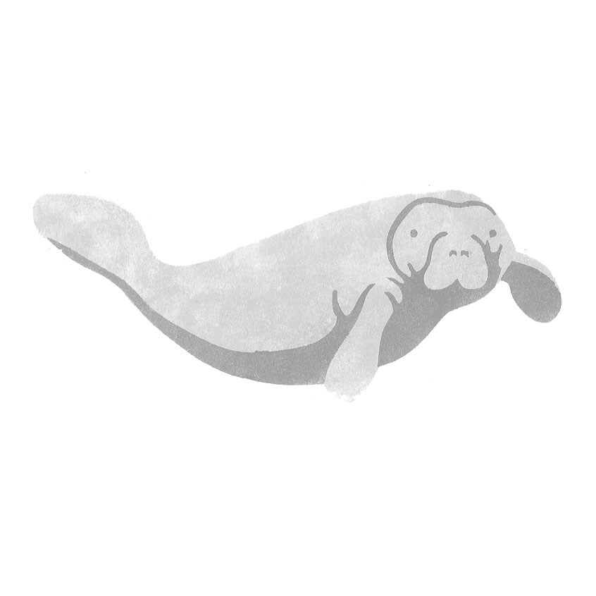 Whale 1 Reusable Mylar Stencl Art Supples - Etsy