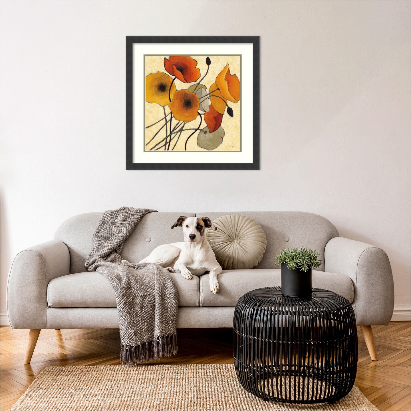 Pumpkin Poppies II by Shirley Novak Wood Framed Wall Art Print 25 in. W x 25 in. H