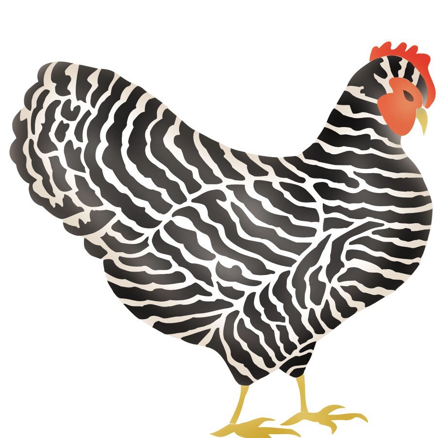 Zebra Chicken Wall Stencil | 2509 by Designer Stencils | Animal &#x26; Nature Stencils | Reusable Art Craft Stencils for Painting on Walls, Canvas, Wood | Reusable Plastic Paint Stencil for Home Makeover | Easy to Use &#x26; Clean Art Stencil
