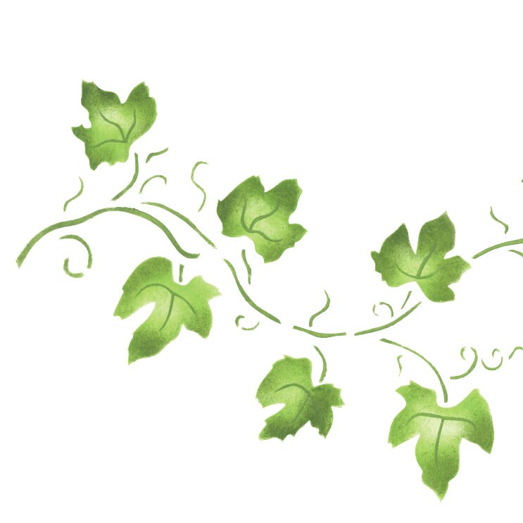Small Ivy Vine Wall Stencil | 1538 by Designer Stencils | Floral Stencils | Reusable Art Craft Stencils for Painting on Walls, Canvas, Wood | Reusable Plastic Paint Stencil for Home Makeover | Easy to Use &#x26; Clean Art Stencil