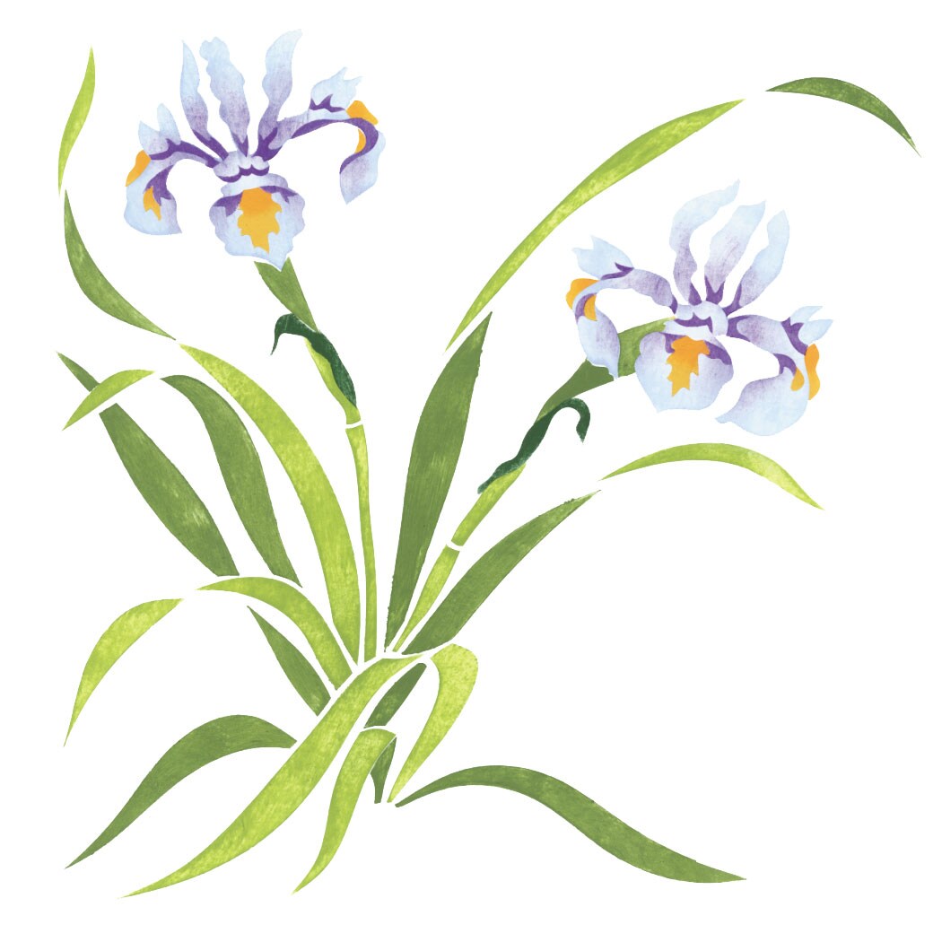Iris Flower Wall Stencil | 1944 by Designer Stencils | Floral Stencils | Reusable Art Craft Stencils for Painting on Walls, Canvas, Wood | Reusable Plastic Paint Stencil for Home Makeover | Easy to Use &#x26; Clean Art Stencil