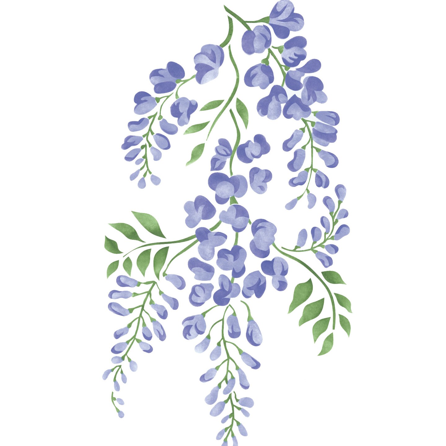 Wisteria Wisp Wall Stencil | 1808 by Designer Stencils | Floral Stencils | Reusable Art Craft Stencils for Painting on Walls, Canvas, Wood | Reusable Plastic Paint Stencil for Home Makeover | Easy to Use &#x26; Clean Art Stencil