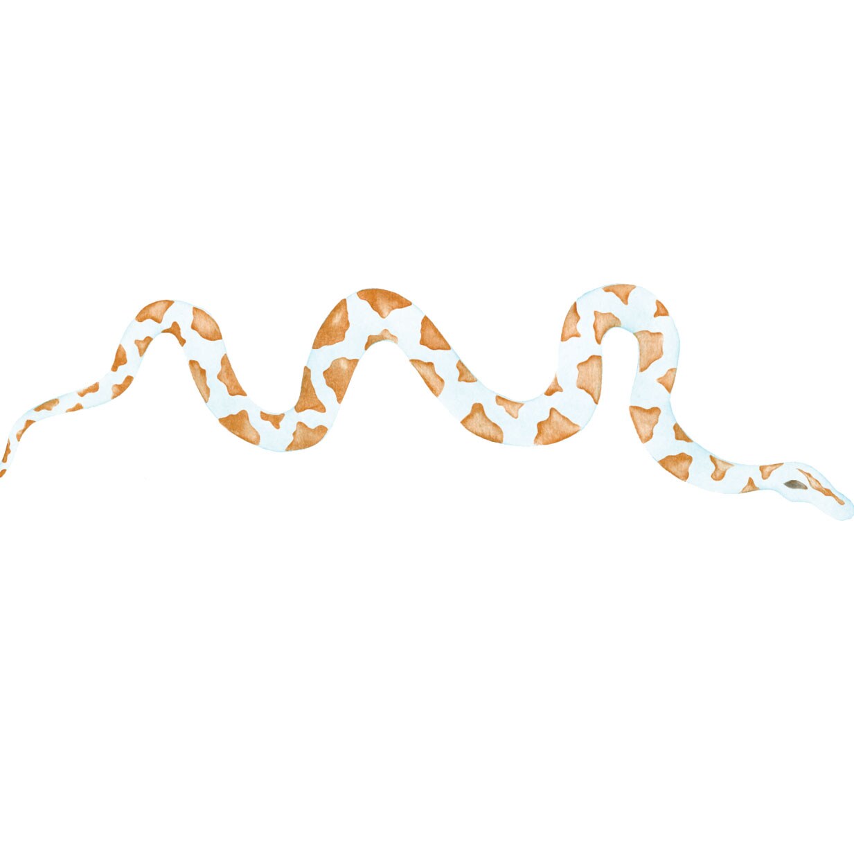 Snake Wall Stencil | 2274 by Designer Stencils | Animal &#x26; Nature Stencils | Reusable Art Craft Stencils for Painting on Walls, Canvas, Wood | Reusable Plastic Paint Stencil for Home Makeover | Easy to Use &#x26; Clean Art Stencil
