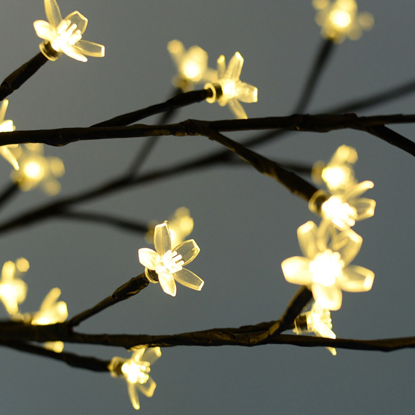 Perfect Holiday 2ft Table Top Cherry Blossom Tree Light - Warm White