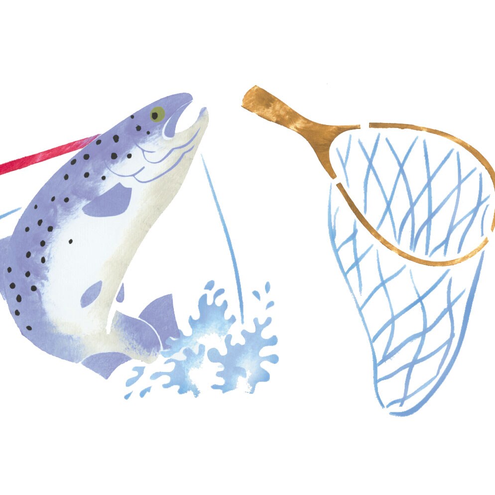 Fish, Net, Rod and Basket Wall Stencil | 030A by Designer Stencils | Outdoor Stencils | Reusable Art Craft Stencils for Painting on Walls, Canvas, Wood | Reusable Plastic Paint Stencil for Home Makeover | Easy to Use &#x26; Clean Art Stencil