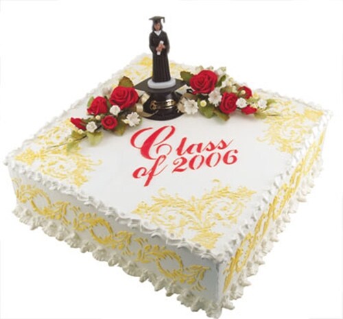 Feathered Scroll Cake Stencil Side | C160T by Designer Stencils | Cake Decorating Tools | Baking Stencils for Royal Icing, Airbrush, Dusting Powder | Reusable Plastic Food Grade Stencil for Cakes | Easy to Use &#x26; Clean Cake Stencil