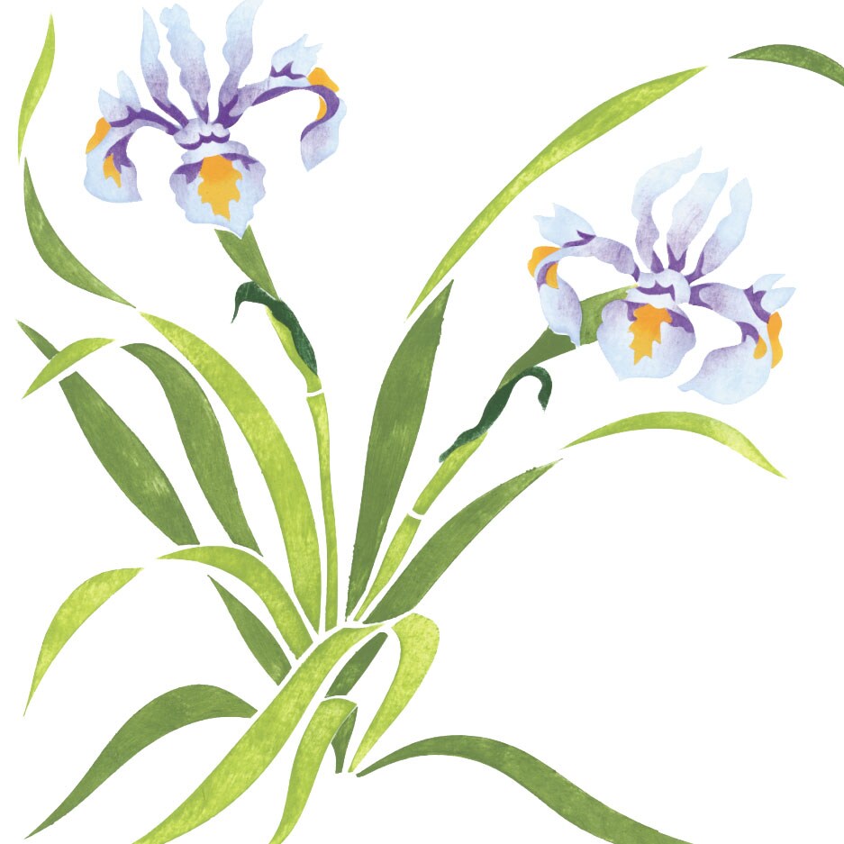 Iris Flower Wall Stencil | 1944 by Designer Stencils | Floral Stencils | Reusable Art Craft Stencils for Painting on Walls, Canvas, Wood | Reusable Plastic Paint Stencil for Home Makeover | Easy to Use &#x26; Clean Art Stencil