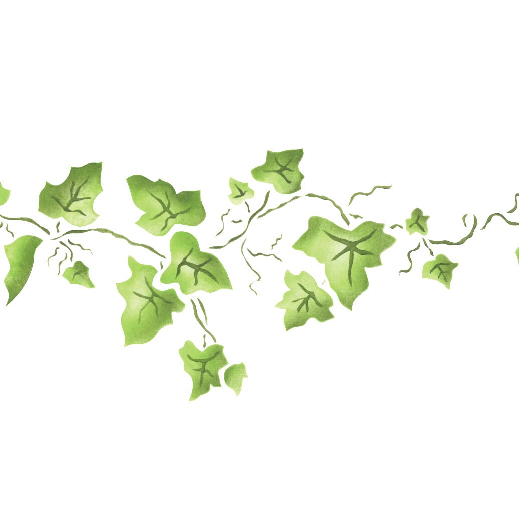 Large Ivy Wall Stencil Border | 041B by Designer Stencils | Floral Stencils | Reusable Art Craft Stencils for Painting on Walls, Canvas, Wood | Reusable Plastic Paint Stencil for Home Makeover | Easy to Use &#x26; Clean Art Stencil