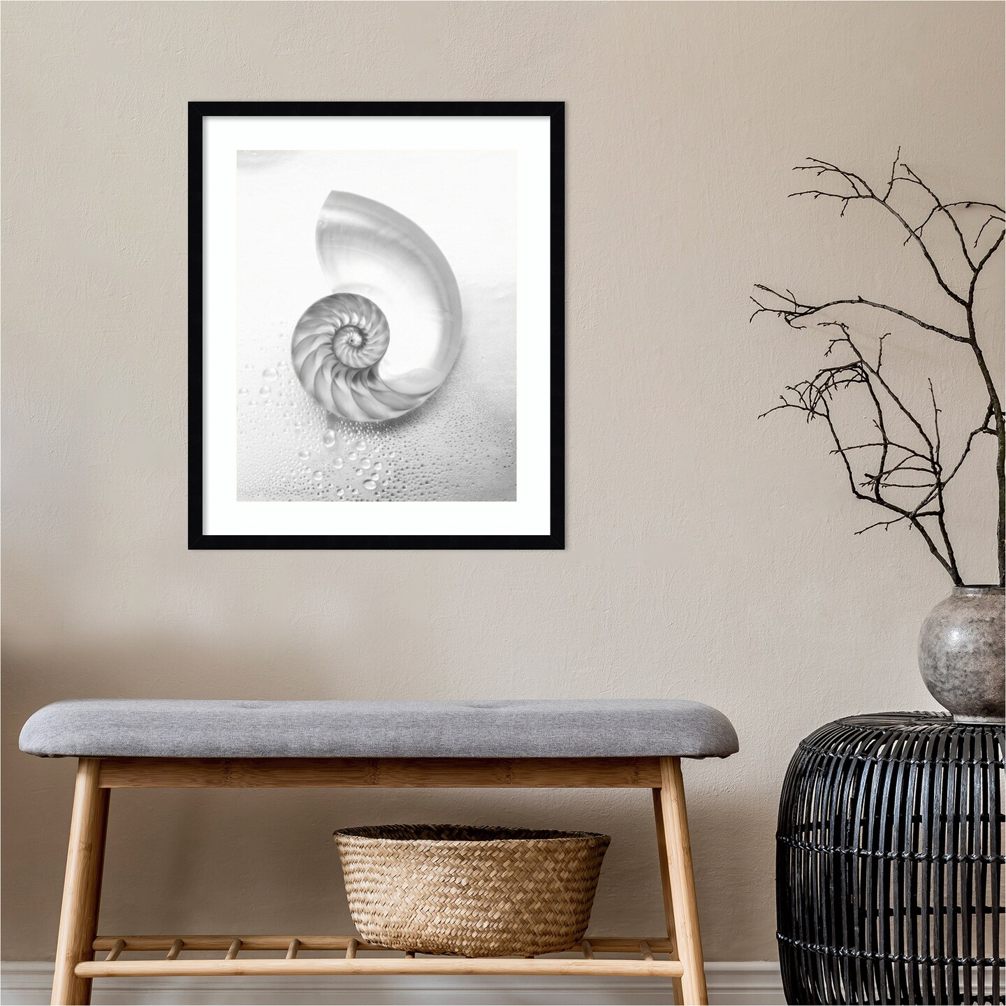 Pearl Nautilus Shell Cut In Half Showing Chambers by Design Pics Danita Delimont Wood Framed Wall Art Print