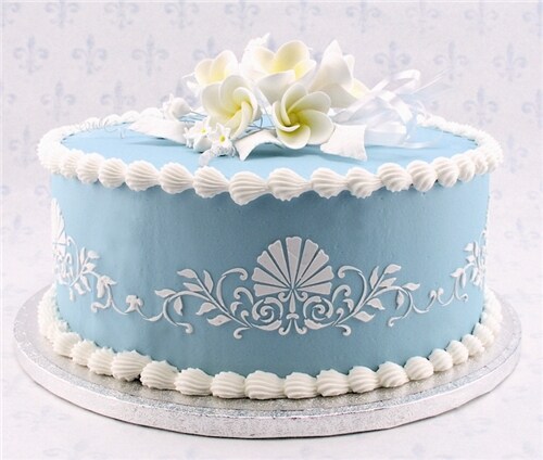 Shell Side Cake Stencil | C154T by Designer Stencils | Cake Decorating Tools | Baking Stencils for Royal Icing, Airbrush, Dusting Powder | Reusable Plastic Food Grade Stencil for Cakes | Easy to Use & Clean Cake Stencil