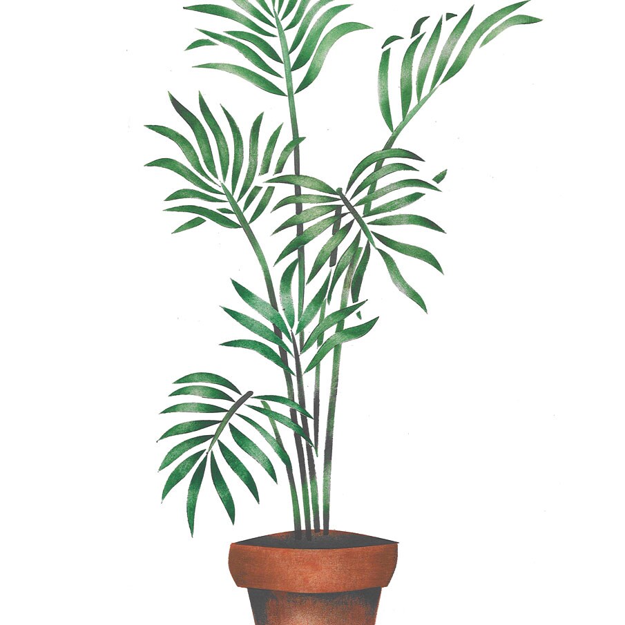 Large Potted Palm Wall Stencil | 1147 by Designer Stencils | Floral Stencils | Reusable Art Craft Stencils for Painting on Walls, Canvas, Wood | Reusable Plastic Paint Stencil for Home Makeover | Easy to Use &#x26; Clean Art Stencil