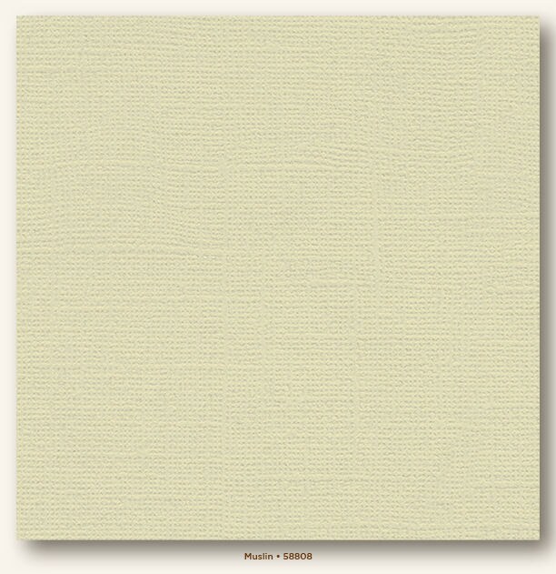 Muslin Canvas Textured My Colors Cardstock Photoplay Michaels