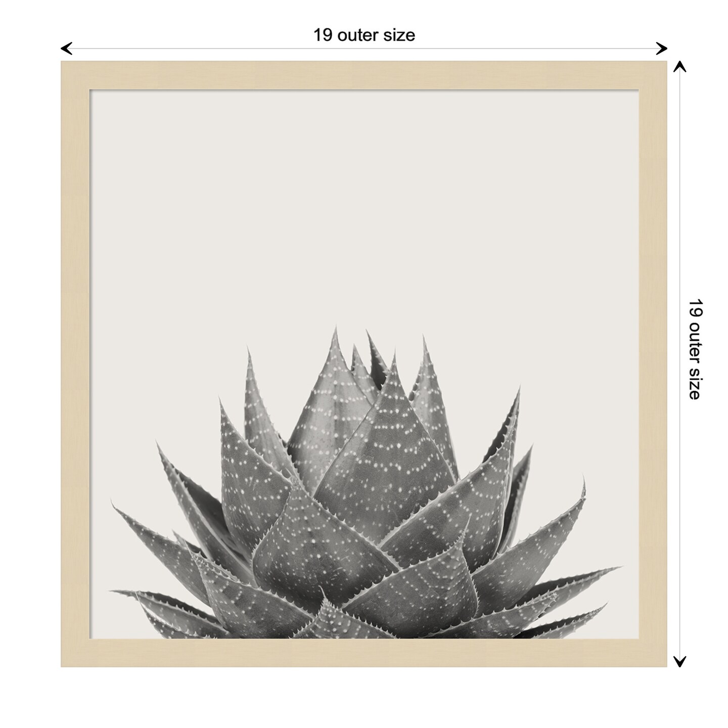 Haze Aloe Succulent by The Creative Bunch Studio Wood Framed Wall Art Print
