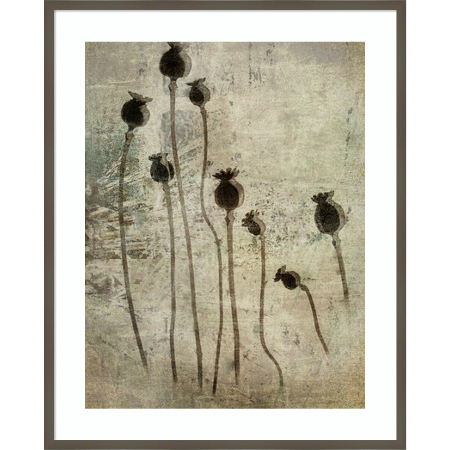 Poppy seedlings by Nel Talen Wood Framed Wall Art Print 33 in. W x 41 in. H