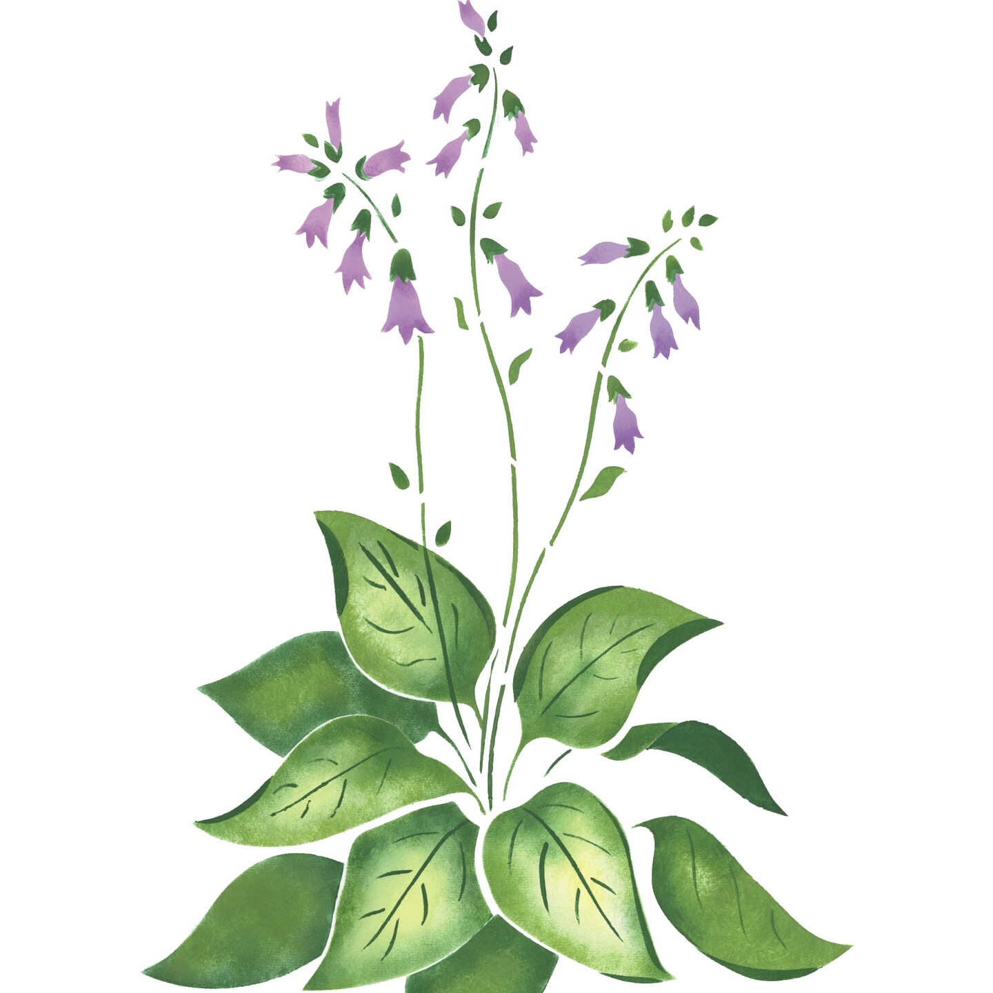 Large Hosta Wall Stencil | 1868 by Designer Stencils | Floral Stencils | Reusable Art Craft Stencils for Painting on Walls, Canvas, Wood | Reusable Plastic Paint Stencil for Home Makeover | Easy to Use & Clean Art Stencil