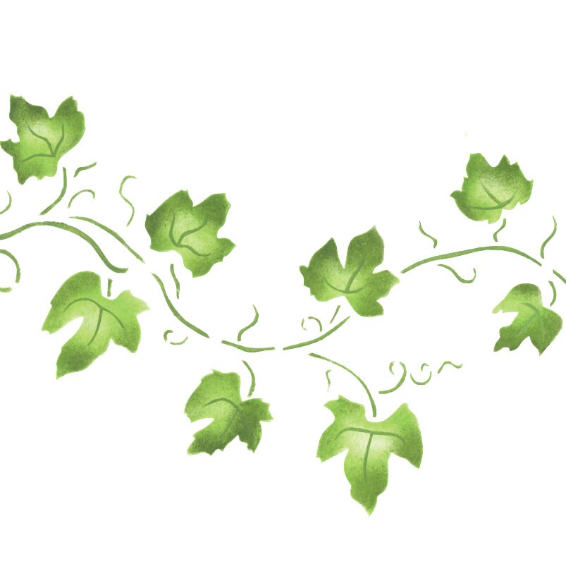 Large Ivy Vine Wall Stencil | 1346 by Designer Stencils | Floral Stencils | Reusable Art Craft Stencils for Painting on Walls, Canvas, Wood | Reusable Plastic Paint Stencil for Home Makeover | Easy to Use &#x26; Clean Art Stencil