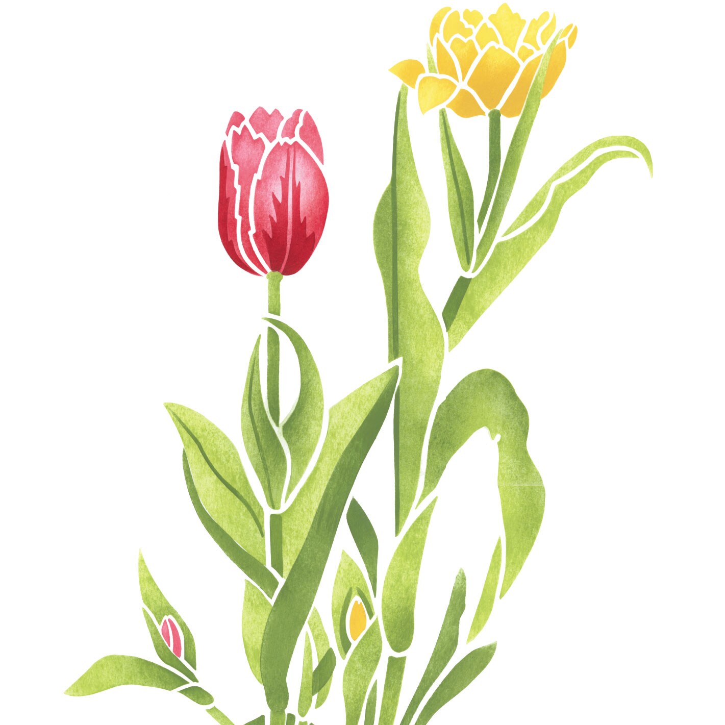 Double Tulip Flower Wall Stencil | 2115 by Designer Stencils | Reusable Art Craft Stencils for Painting on Walls, Canvas, Wood |