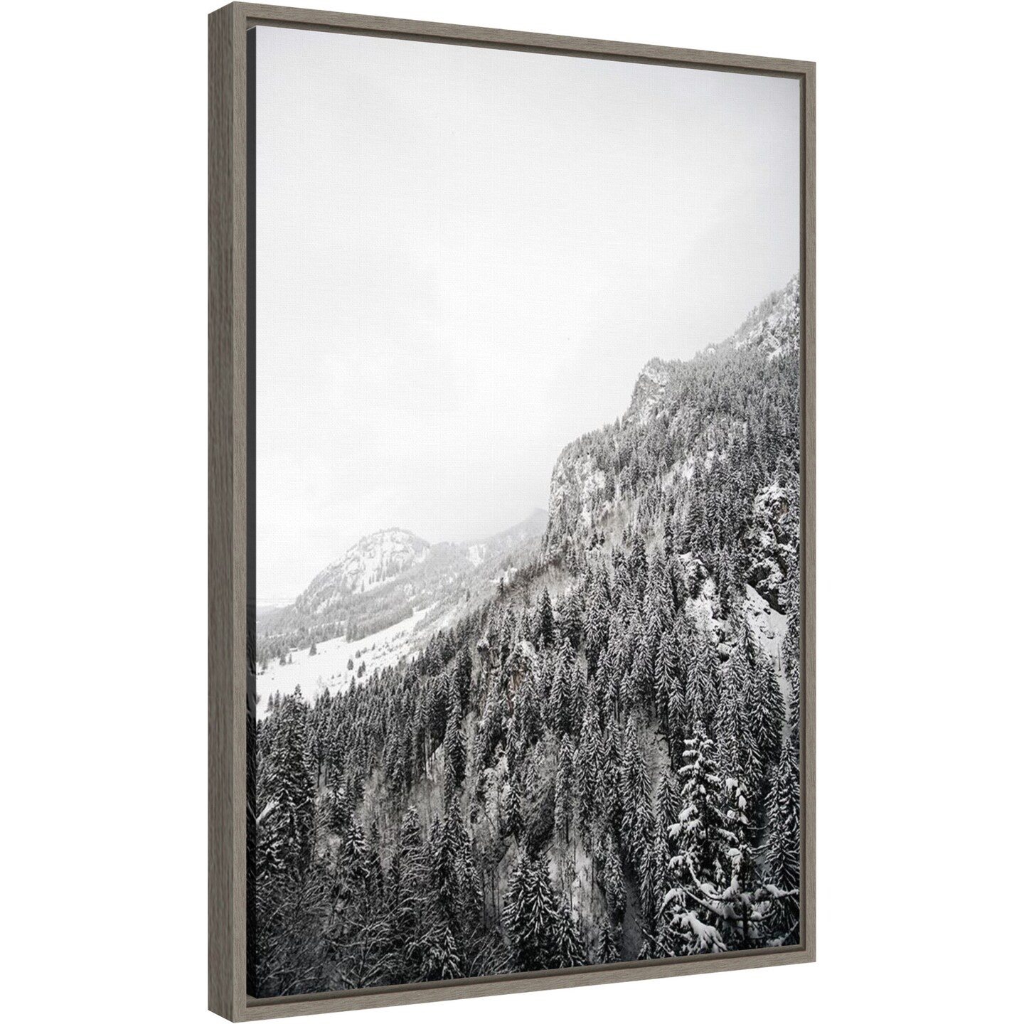 Suganth (Mountain) by Design Fabrikken 16-in. W x 23-in. H. Canvas Wall Art Print Framed in Grey