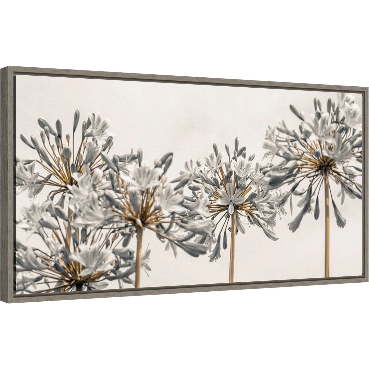 African Lily Flowers II by Assaf Frank 27-in. W x 14-in. H. Canvas Wall Art Print Framed in Grey