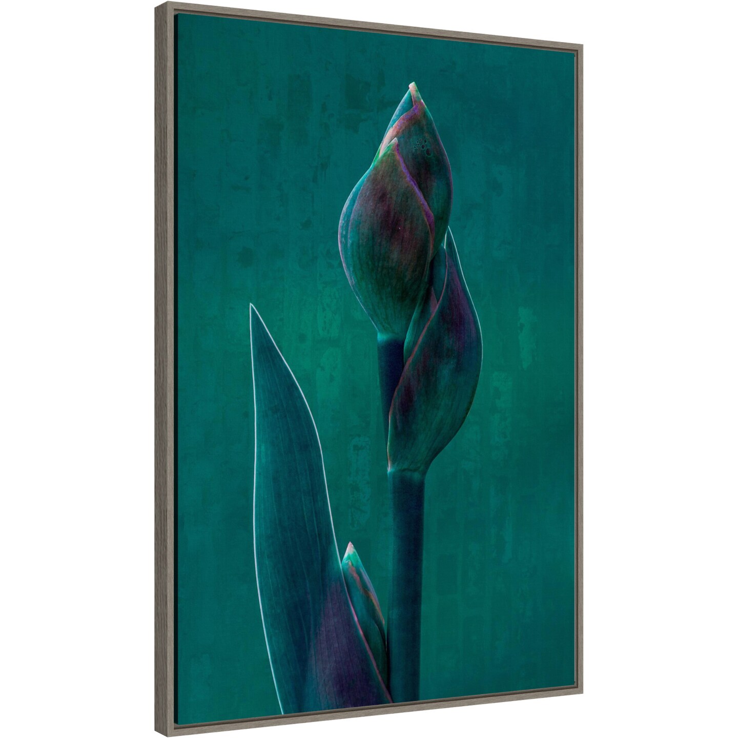 Blue charade. by Chris Hamilton 23-in. W x 33-in. H. Canvas Wall Art Print Framed in Grey