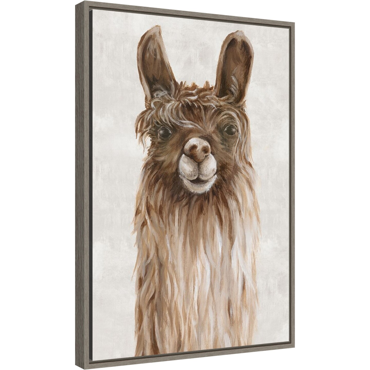 Suri Alpaca I by Eva Watts 16-in. W x 23-in. H. Canvas Wall Art Print Framed in Grey