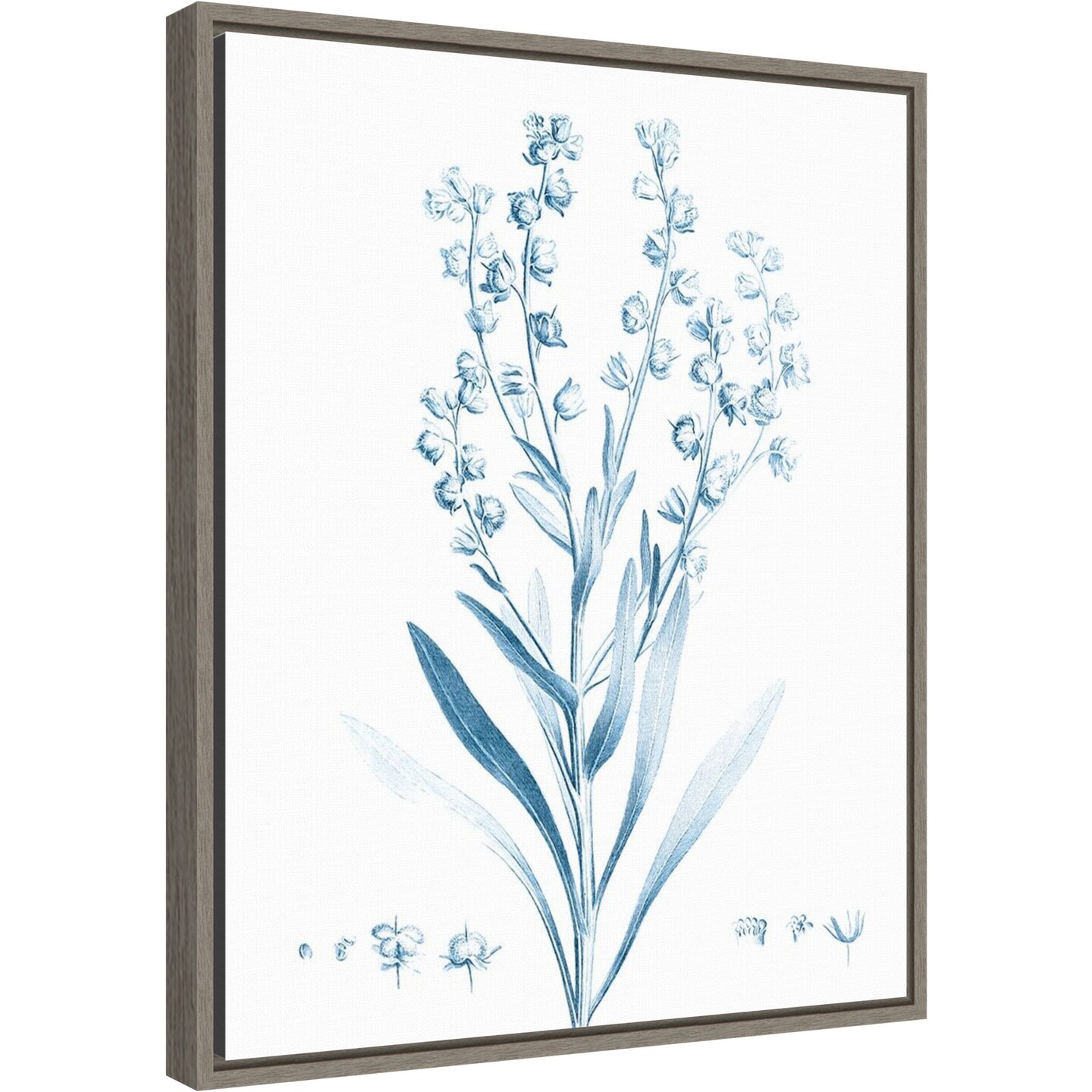 Antique Botanical in Blue I by Vision Studio 16-in. W x 20-in. H. Canvas Wall Art Print Framed in Grey