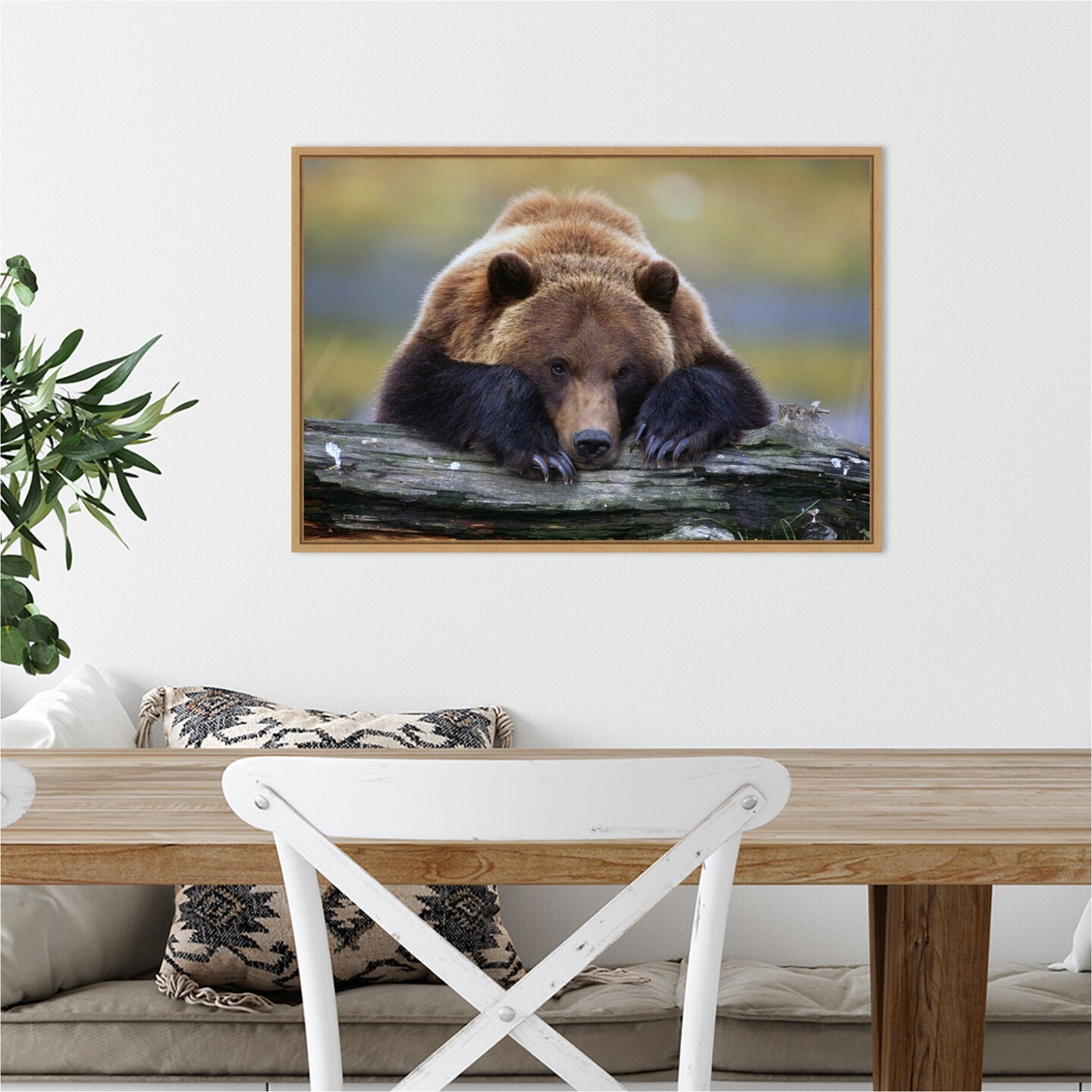 Brown Bear Resting by Design Pics Danita Delimont 23-in. W x 16-in. H. Canvas Wall Art Print Framed in Natural