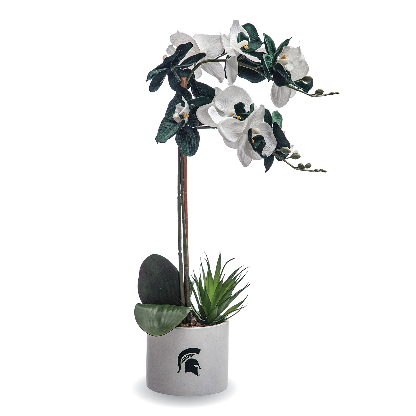 Alabama Orchid Plant - University of Alabama Faux Orchid Plant - Alabama  Gifts for Men, Alabama Gifts for Women - Alabama Gifts, Crimson Tide  Decorations - Office Accessories for Men | Michaels