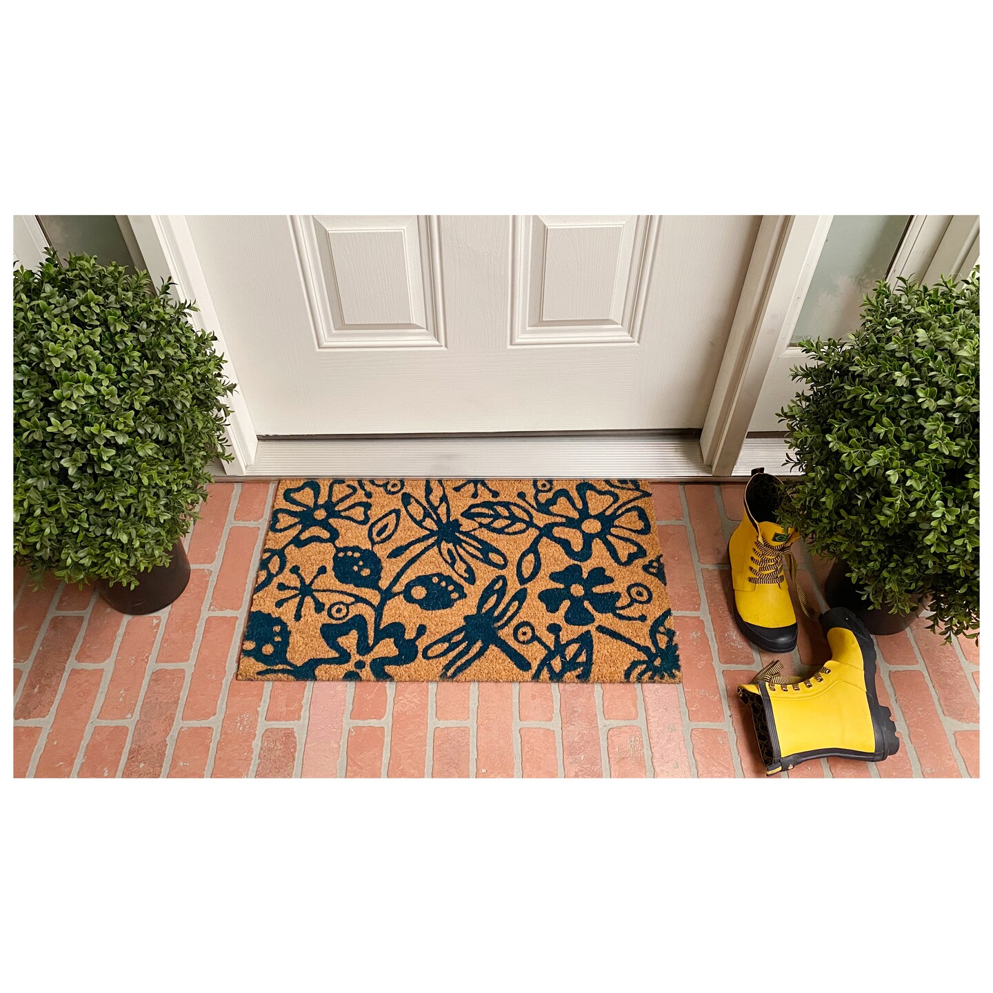 Dragonflies Doormat