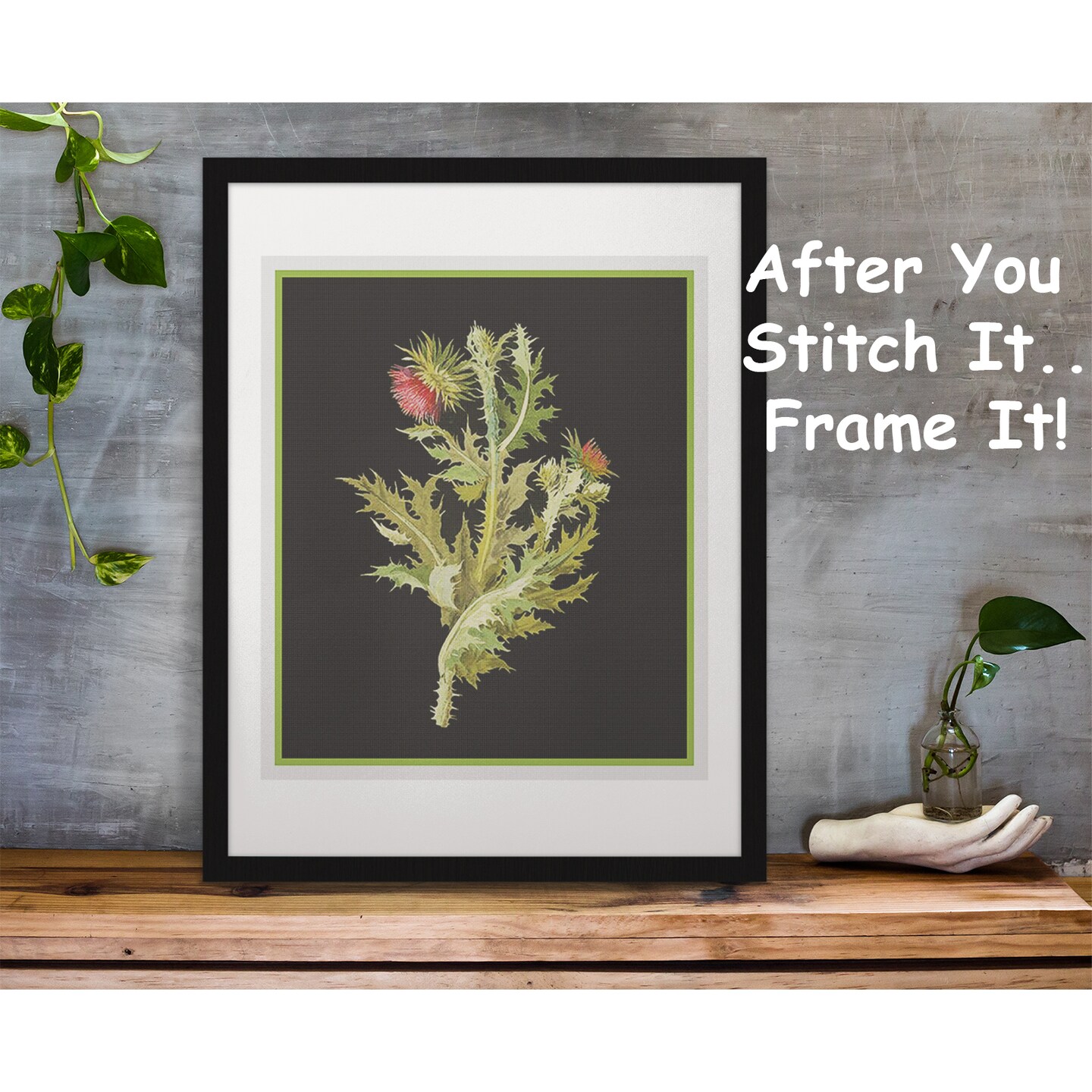 Nodding Thistle Plant by Mary Delany Counted Cross Stitch Pattern