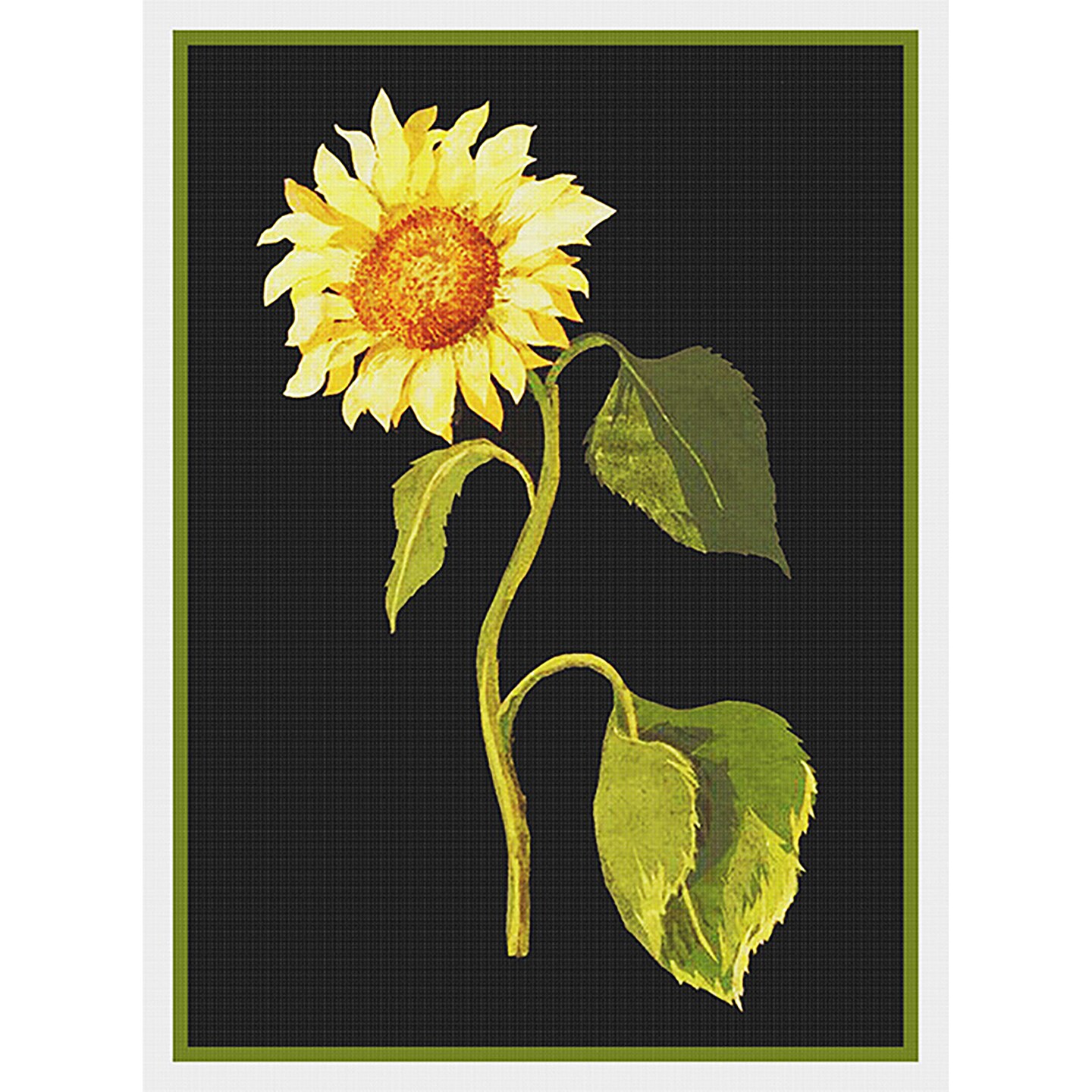 The Great Sunflower Flower by Mary Delany Counted Cross Stitch Pattern