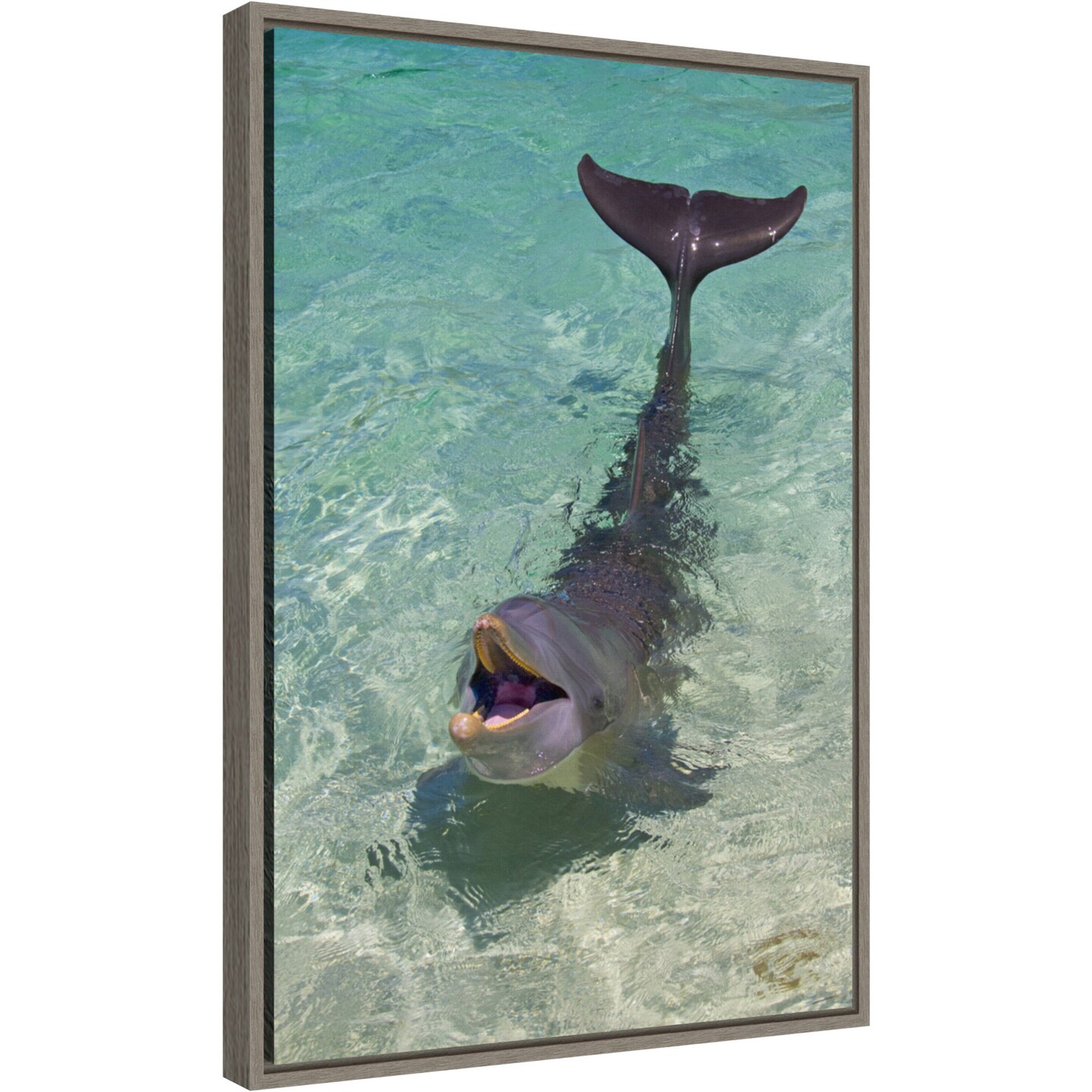 Dolphin in the ocean by Keren Su Danita Delimont 16-in. W x 23-in. H. Canvas Wall Art Print Framed in Grey
