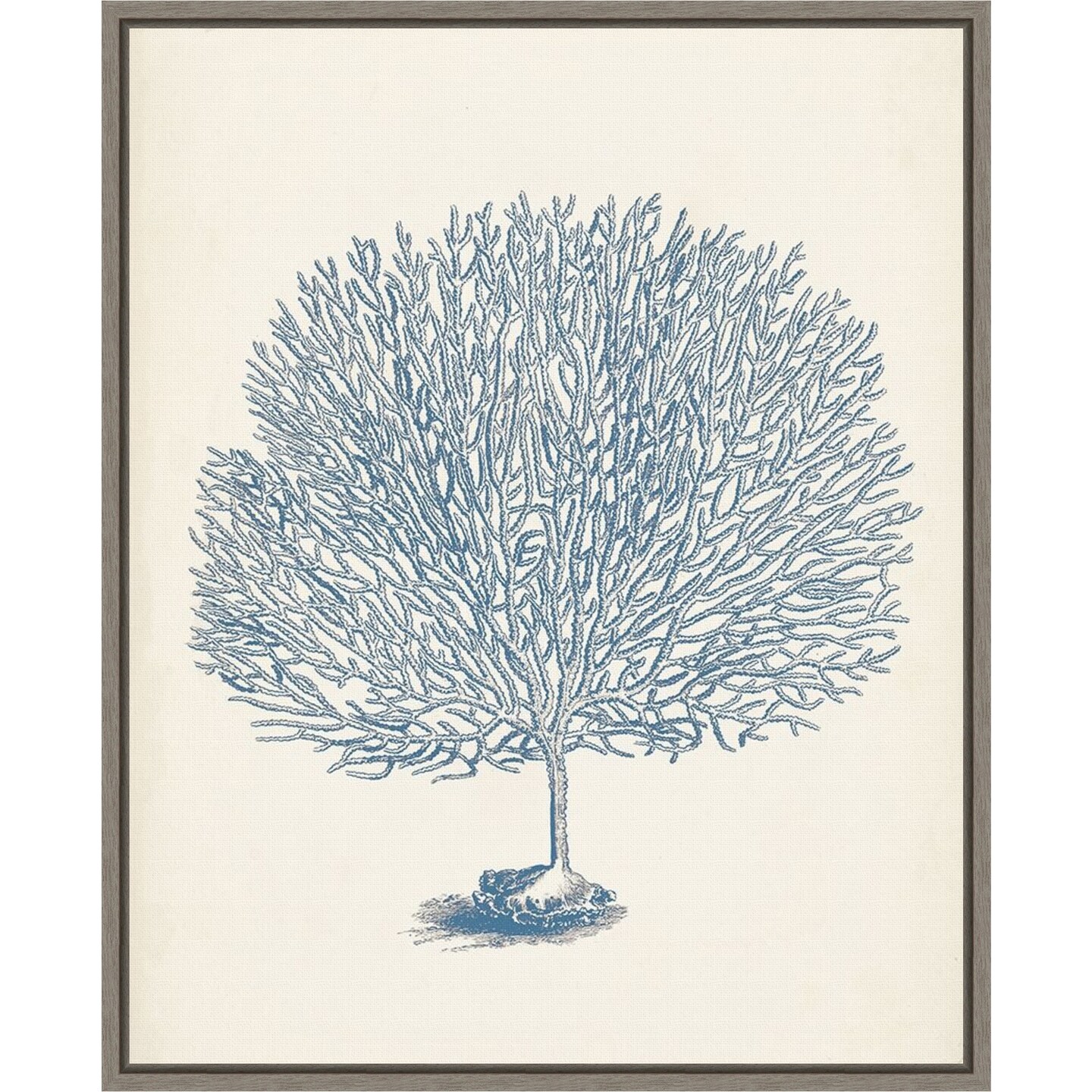Antique Coral Collection I by Vision Studio 16-in. W x 20-in. H. Canvas Wall Art Print Framed in Grey