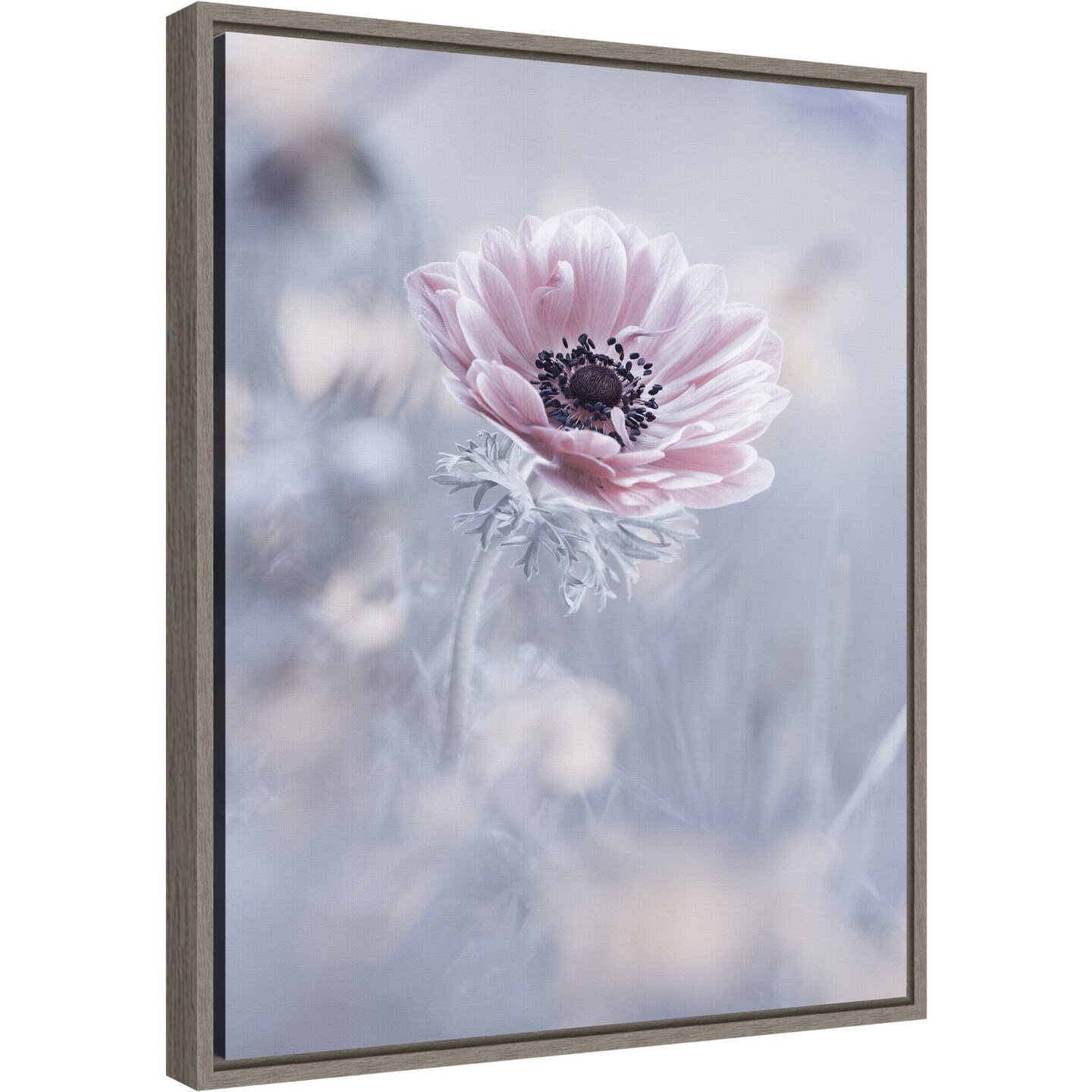 La reine de neiges (Flower) by Fabien Bravin 16-in. W x 20-in. H. Canvas Wall Art Print Framed in Grey