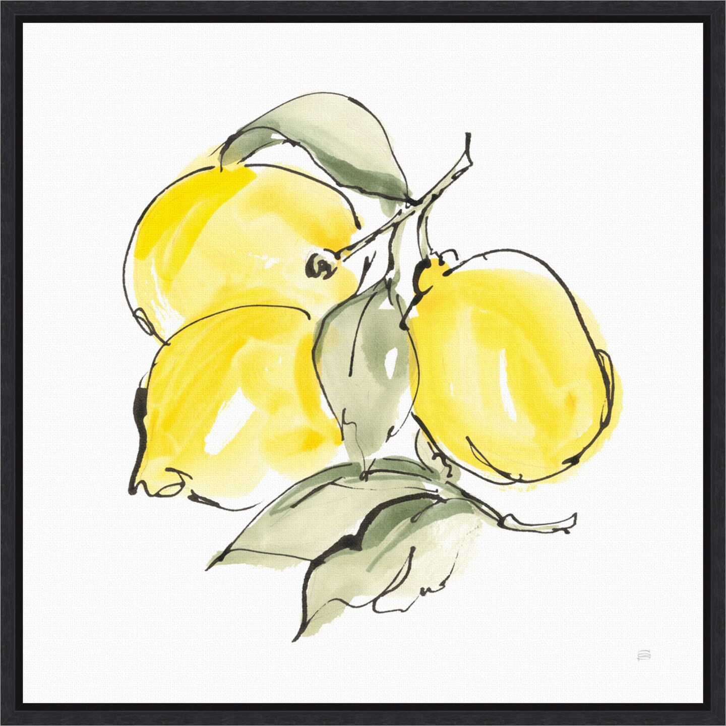 Lemons III by Chris Paschke 16-in. W x 16-in. H. Canvas Wall Art Print Framed in Black