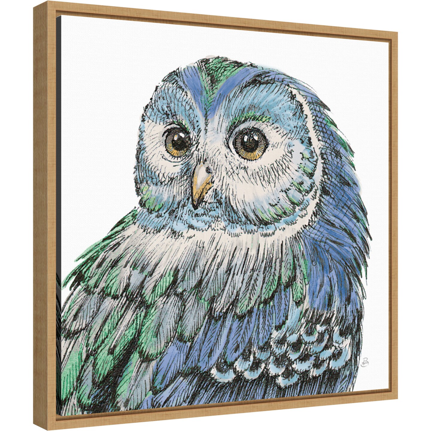 Beautiful Owls I Peacock Crop by Daphne Brissonnet 16-in. W x 16-in. H. Canvas Wall Art Print Framed in Natural