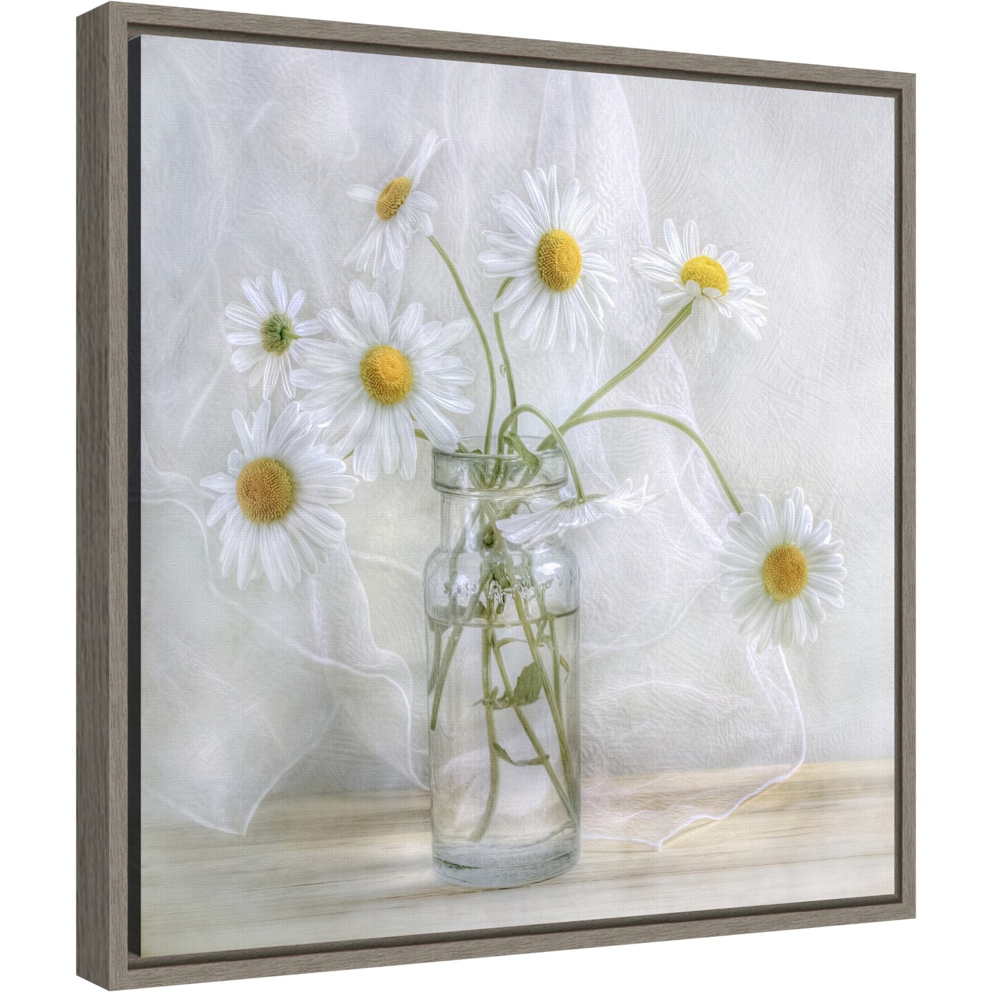Daisies by Mandy Disher 16-in. W x 16-in. H. Canvas Wall Art Print Framed in Grey