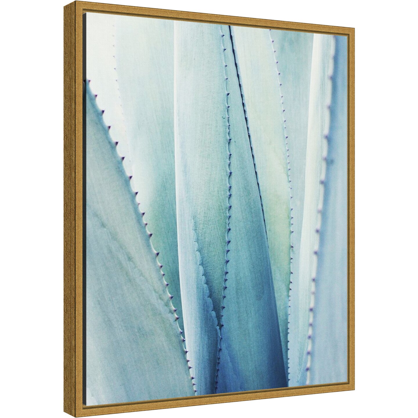 Pale Blue Agave Succulent No. 1 by Lupen Grainne 16-in. W x 20-in. H. Canvas Wall Art Print Framed in Gold