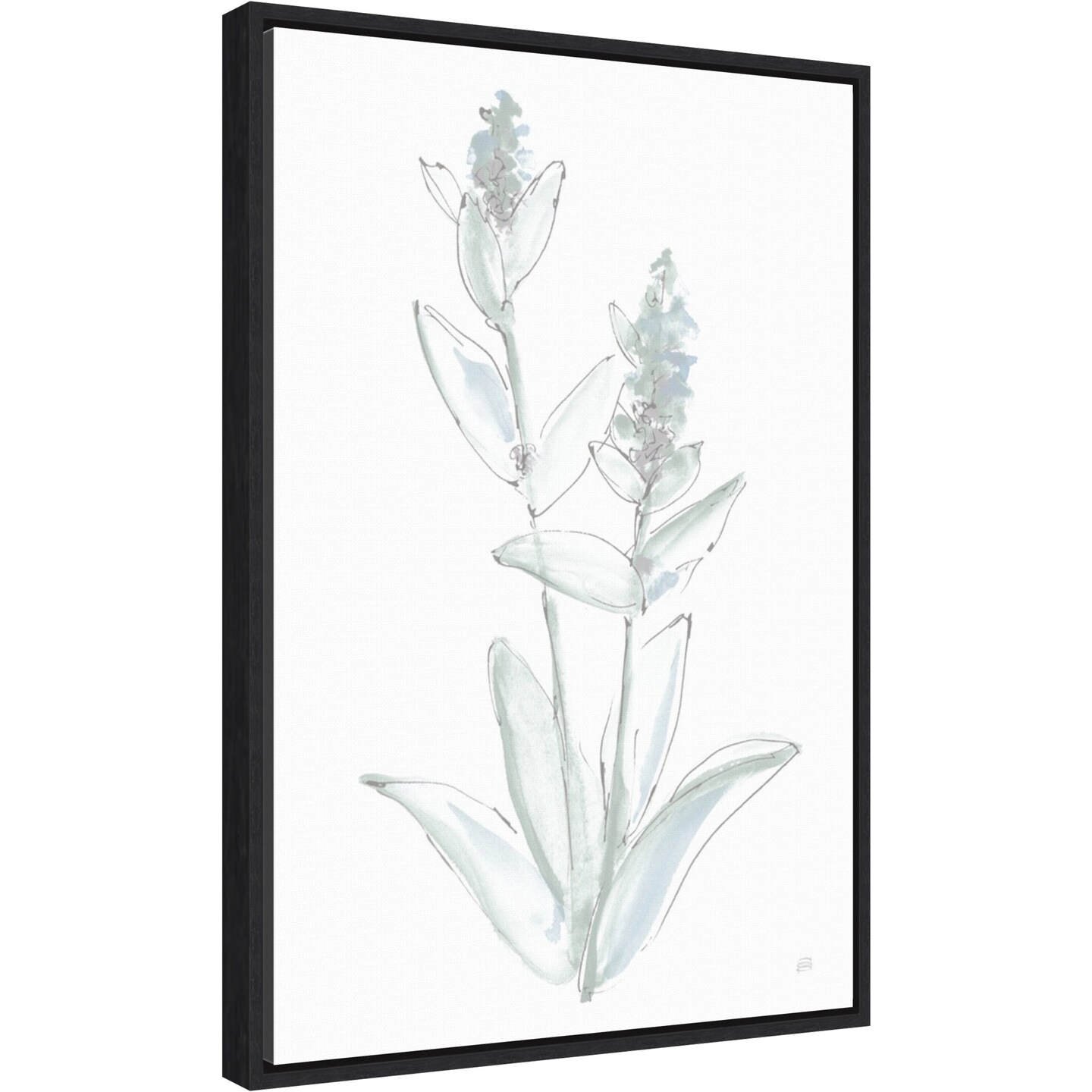 Lambs Ear Sage IV Bleached by Chris Paschke Canvas Wall Art Print Framed