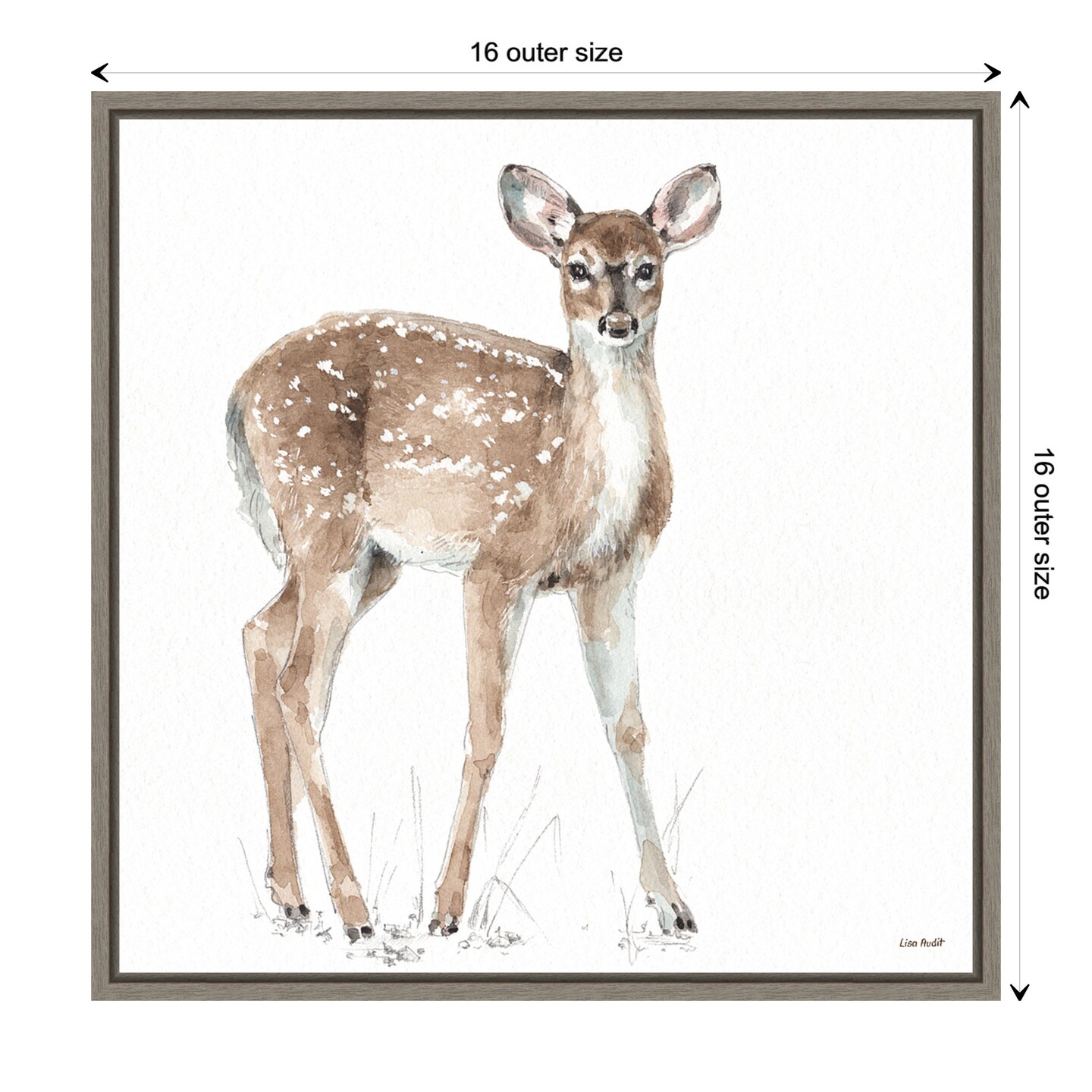 Forest Friends XII (Deer) by Lisa Audit Canvas Wall Art Print Framed