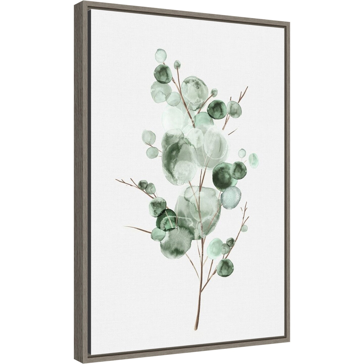 Tender Sprout I (Eucalyptus) by Eva Watts Canvas Art Framed