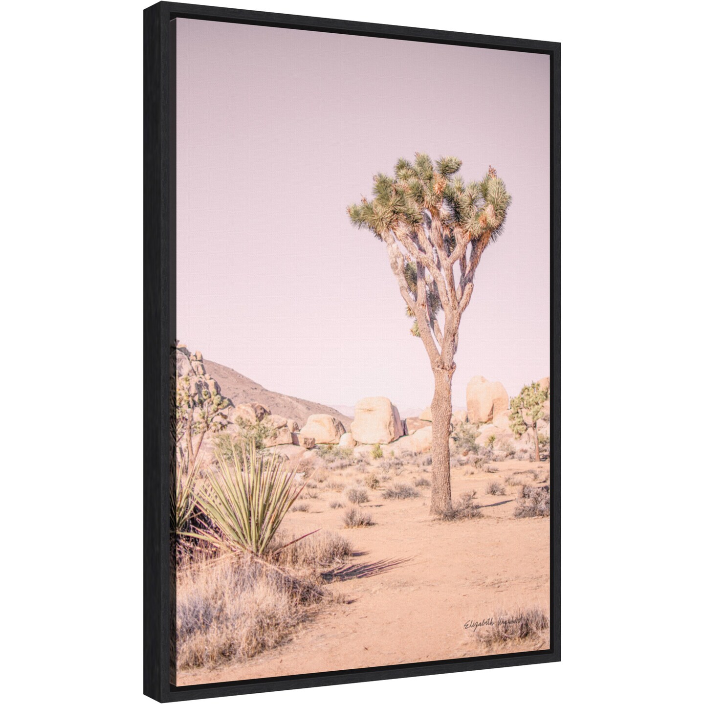 Joshua Tree III Blush by Elizabeth Urquhart Canvas Wall Art Print Framed