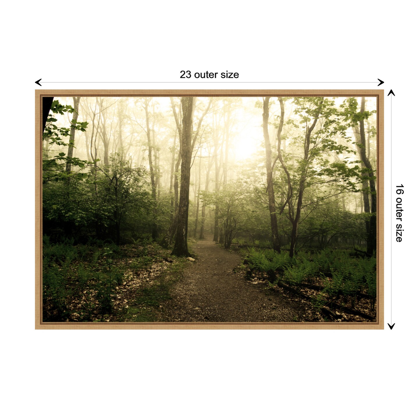 Appalachian Trail by Andy Magee Canvas Wall Art Print Framed