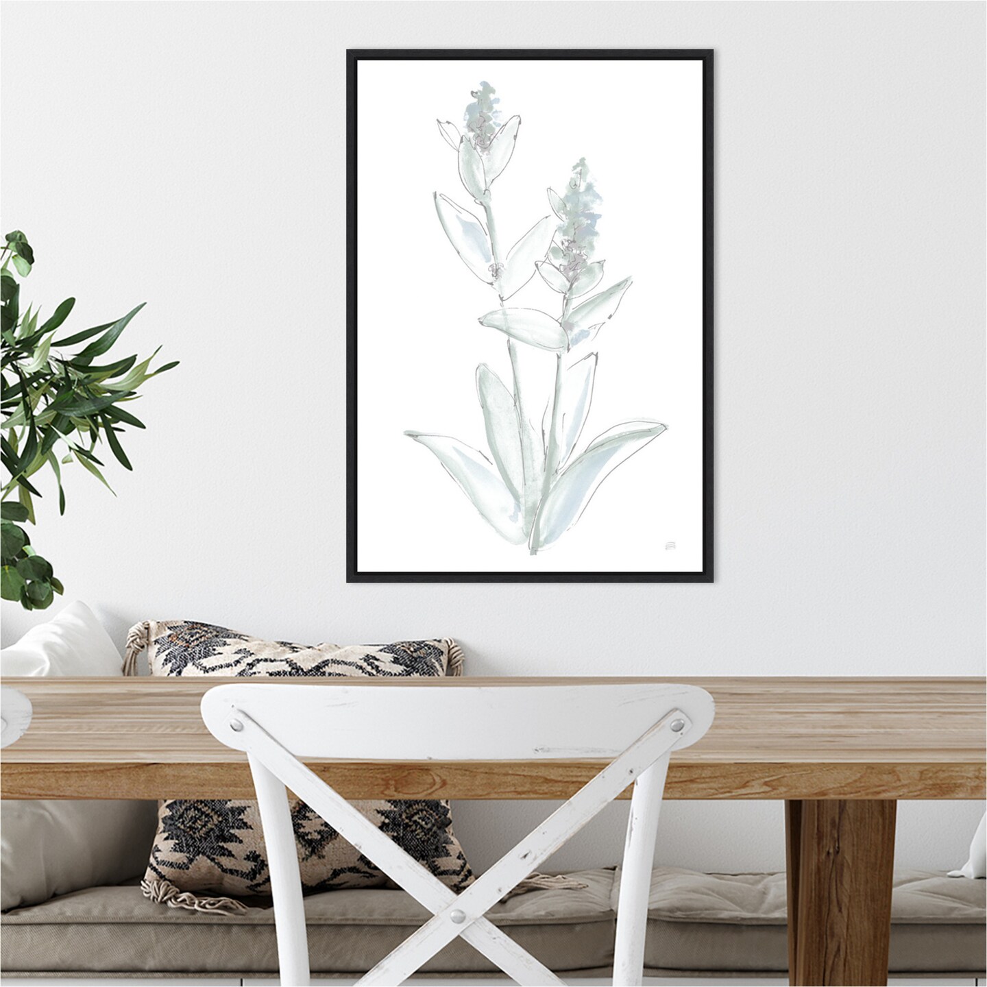 Lambs Ear Sage IV Bleached by Chris Paschke Canvas Wall Art Print Framed
