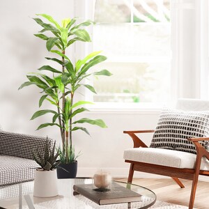 Dracaena Indoor Plant - Faux Plants Indoor, Silk Plants for Home Decor Indoor, Floor Plants for Living Room Decor - Faux Plants Indoor Tall, Floor Plant, Fake Plants for Living Room Decor - 5 Feet