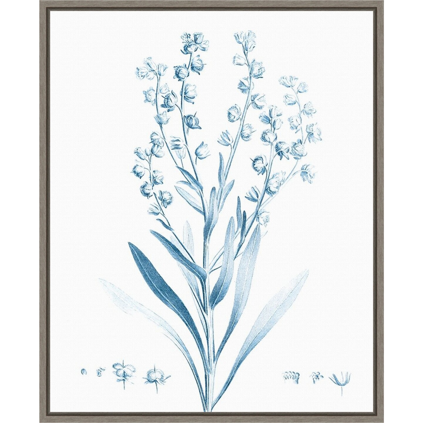 Antique Botanical in Blue I by Vision Studio 16-in. W x 20-in. H. Canvas Wall Art Print Framed in Grey